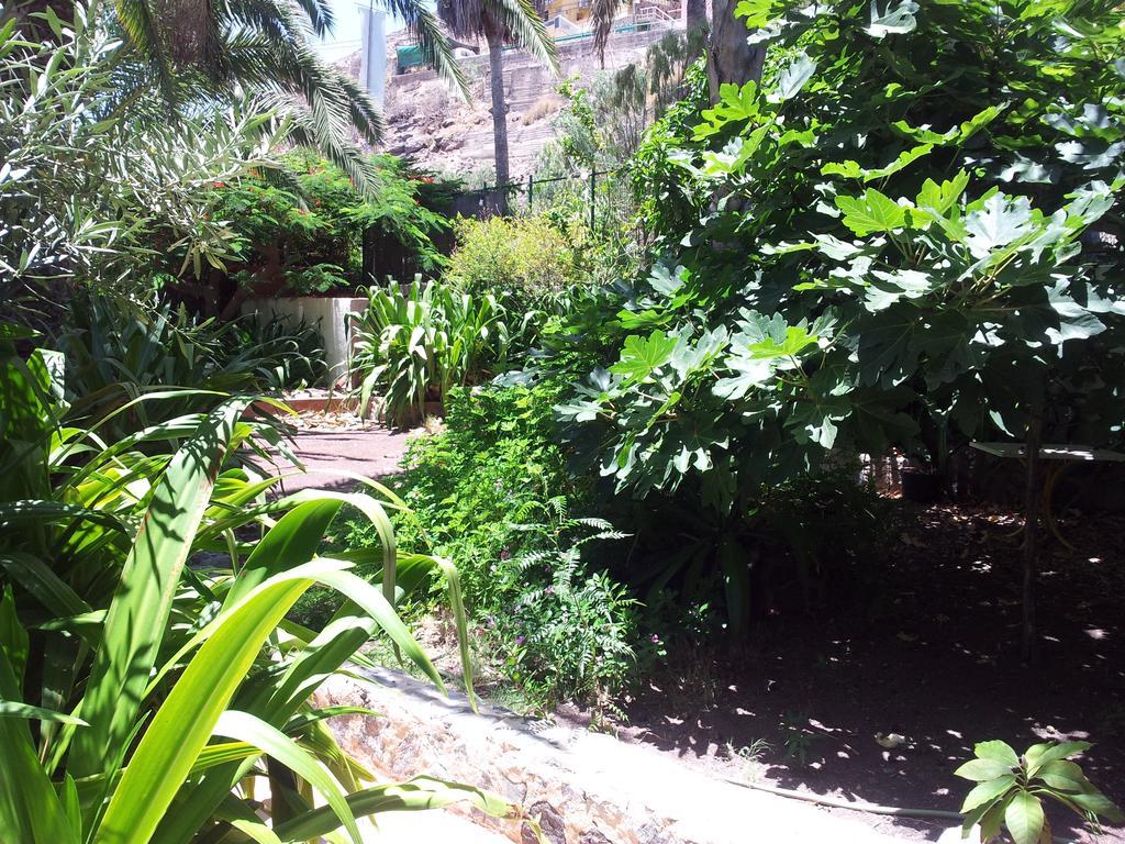 Apartament El Jardin Mogán Zewnętrze zdjęcie